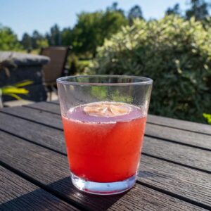 best cocktails in bemidji